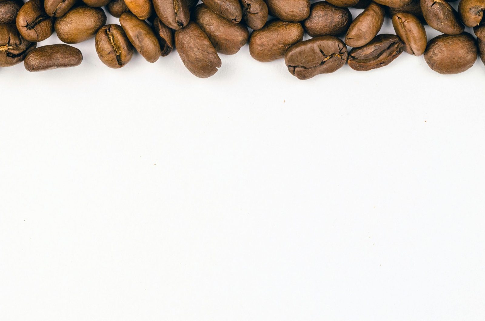 Coffee farm